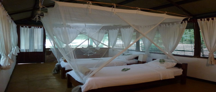 beds at thornicroft camp